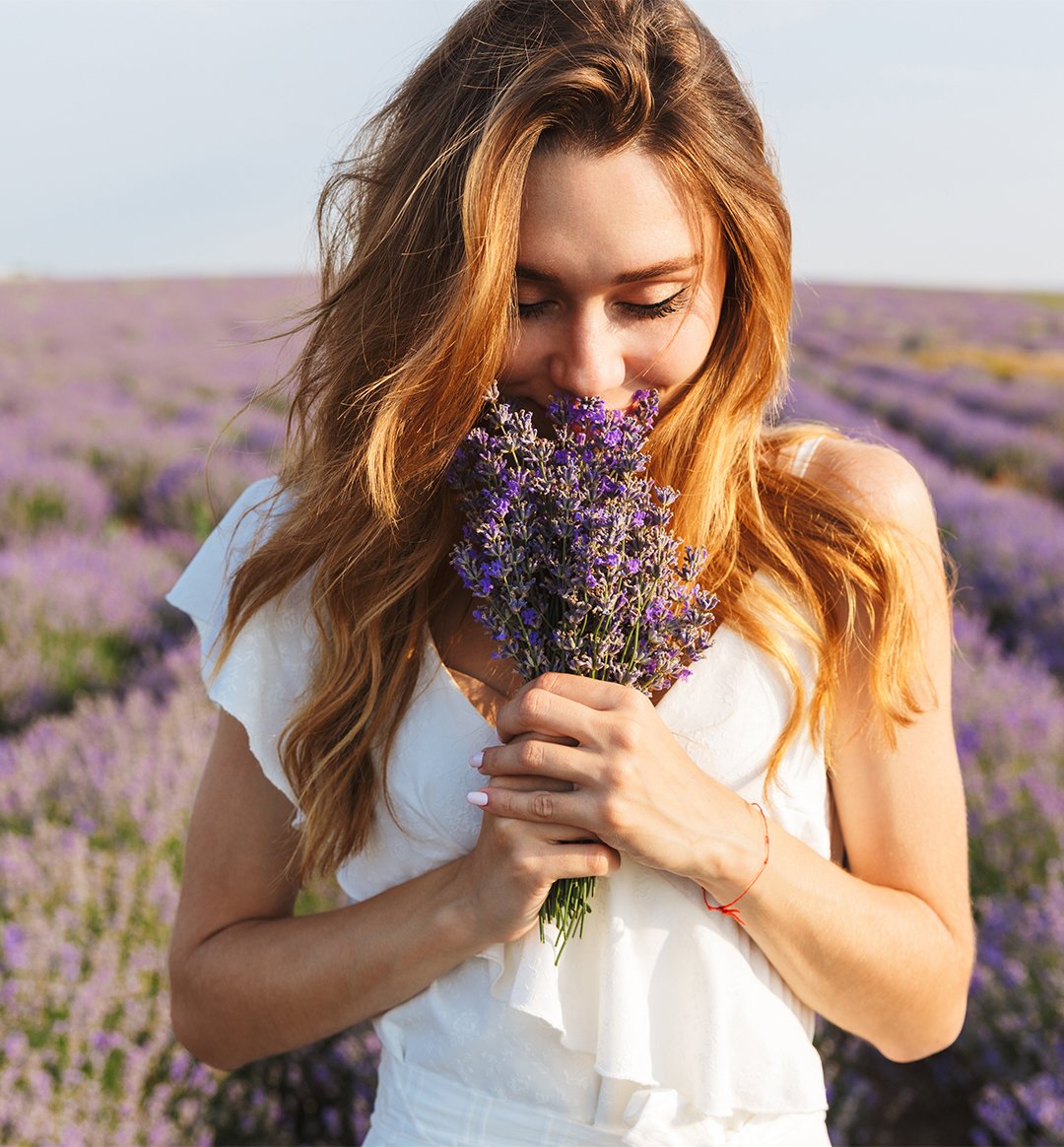 Lavender Flower for Happiness & Health | 100% PURE