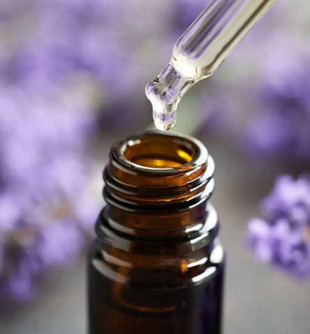 Blog Feed Article Feature Image Carousel: Lavender Oil's Skin-Soothing Secrets 