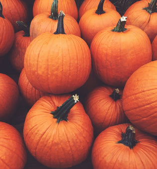  The Best Pumpkin-Infused Skincare Products for Autumn