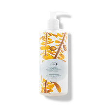  Beauty Deal - Kelp and Mint Volumizing Conditioner - 13oz