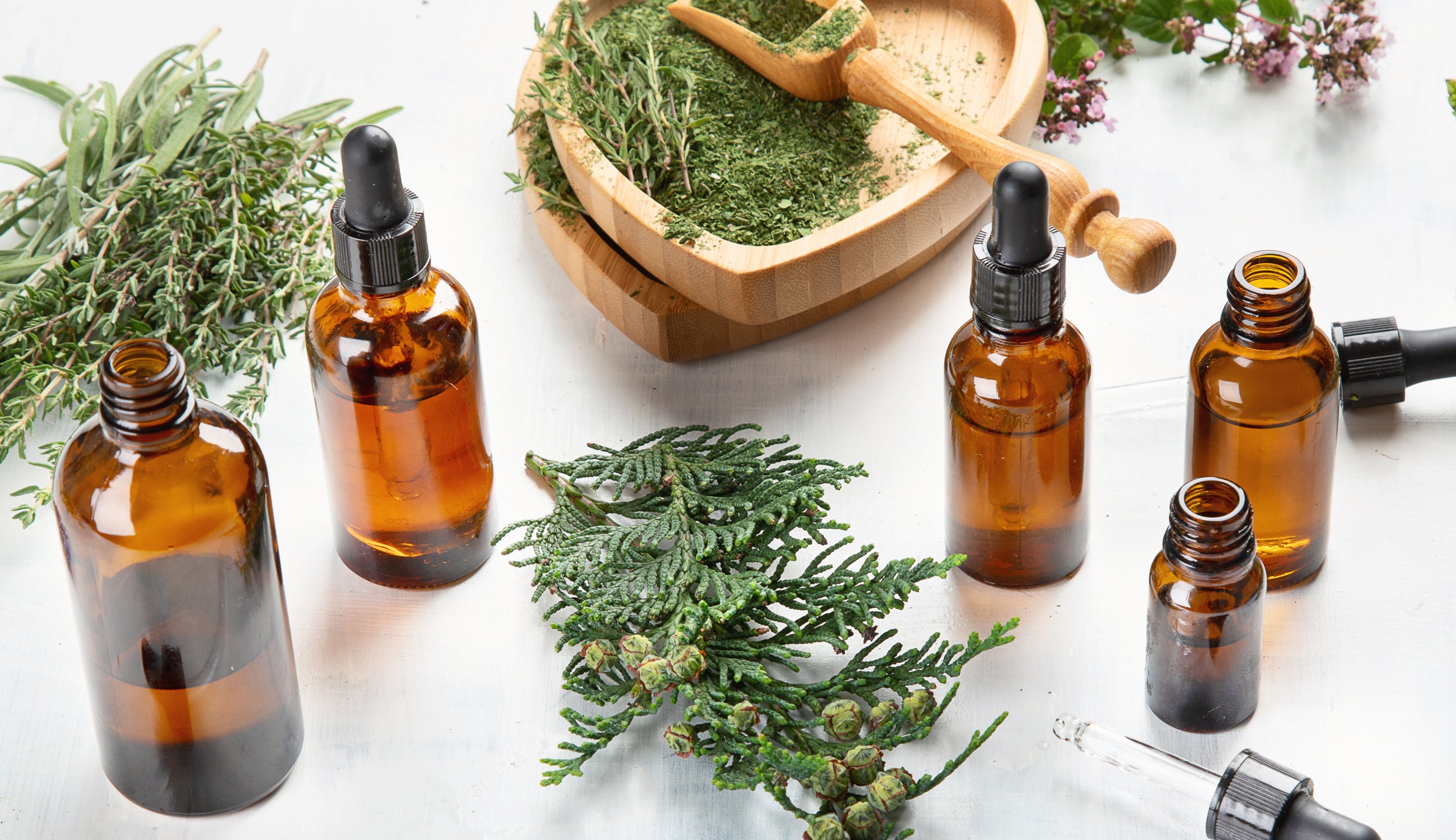 The Most Buzzed About Essential Oils | 100% PURE